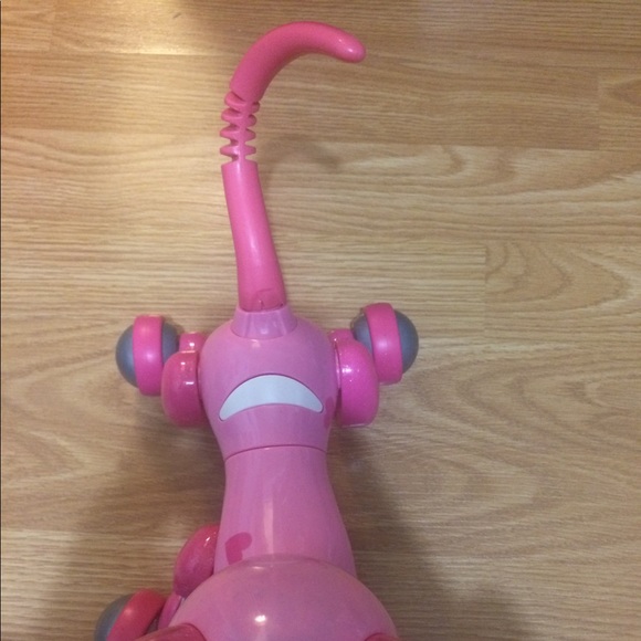 zoomie Toys Limited Edition Pink Kitty Zoomie Poshmark